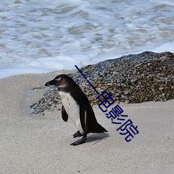 一一电影院