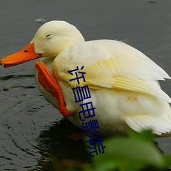 许昌电影院