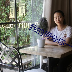 我的房分你一半
