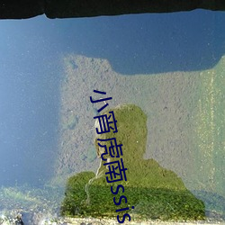 小(小)宵虎(虎)南ssis