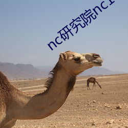 nc研(yán)究(jiū)院nc18岁野狼(láng)影视
