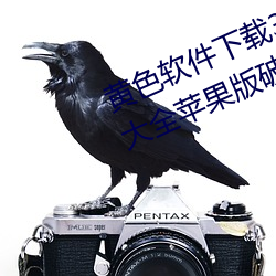 黄色软件下载3.0.3免费vivo版破解大全苹果版破解游戏免不