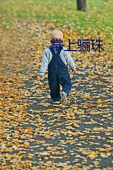 掌(掌)上骊珠(珠)