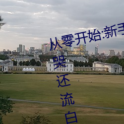 从零开(kāi)始:新手玩家的伽罗太华被哭还流白色(s)东西图入门指