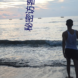 秘密访(訪)客 电(電)影