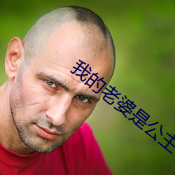我(我)的老婆(婆)是公(公)主