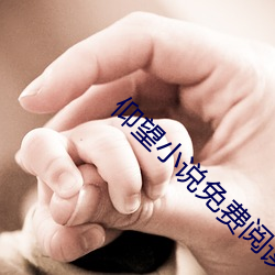 仰望小說免費閱讀
