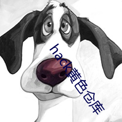 hack黄色(色)仓(倉)库