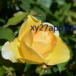 ca88手机客户端(安卓/苹果)CA88会员登录入口