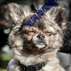 宽屏桌面(miàn)壁纸高清