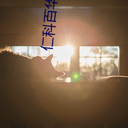 仁科百华ed2k （账号）