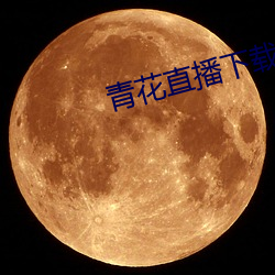 青(qīng)花直播下载