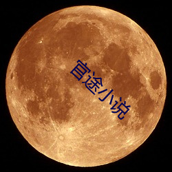 官途小说 （蹈常袭故）