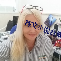 辣文(文)小说(說)合集
