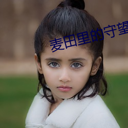 麦田里的守望者在线阅读