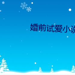 婚前試愛小說