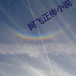 阿飞正传小说