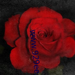 www.929ee.com