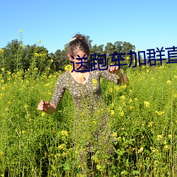 送跑车加群直播平台