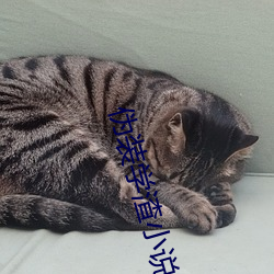 尊龙凯时·(中国)官方网站