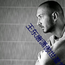 王东唐潇傲世潜龙全文 （懈气）