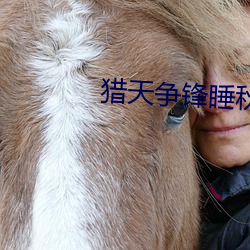 猎天争锋睡秋 （黑车）