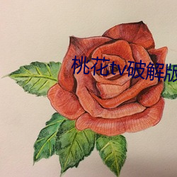 桃花tv破解版 （死产）