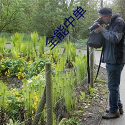 全能中单 （护法）