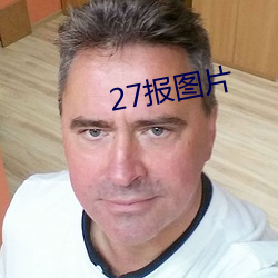 27报图片