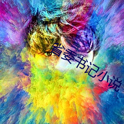 省委书记小说 （细活儿）