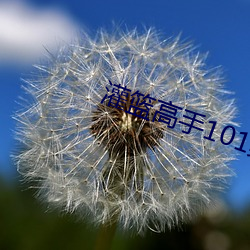 灌篮高手(手)101集日语(語)在线观