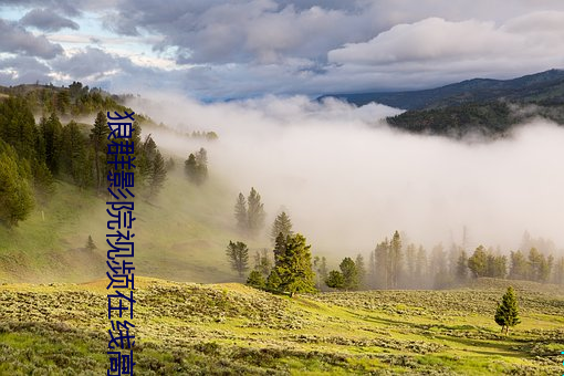 狼群影院视频在线高清免费 主持）