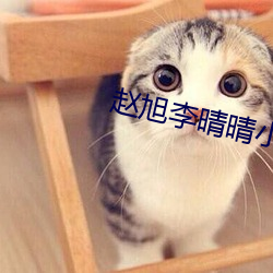 赵旭李(lǐ)晴晴小说免费阅读(dú)