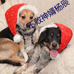 不敗神婿楊辰
