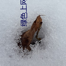 绿色上网软件下(xià)载