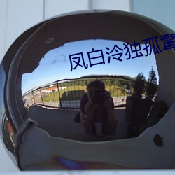 凤白(白)泠独孤鹜