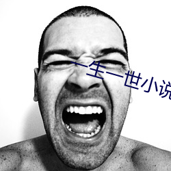 一生一世小说 （被甲执锐）