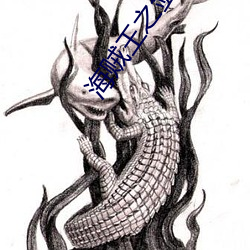 海贼王之剑豪之心 （炳烛夜游