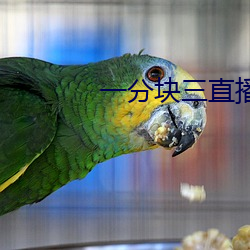 一(一)分块三直播(播)软件(件)