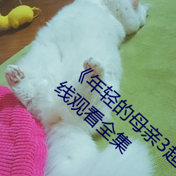 《年轻的母亲3超清电影》免费手机完整版在线观看全集