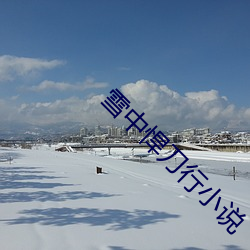 雪中悍刀行小說