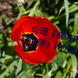 伦(倫)理《商务旅行戴绿帽子的(的)女(女)老板同房》HD高清在线观看