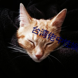 台湾(wān)佬(lǎo)中性娱乐(l��)2222vvvv