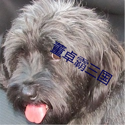 董卓霸三国