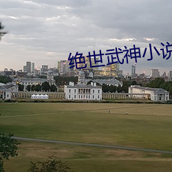 绝世武神(神)小(小)说