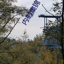 鸿运国际·(中国)会员登录入口