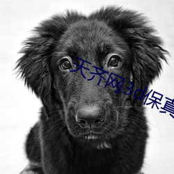 天齐(qí)网(wǎng)3d保真正版藏(cáng)机图
