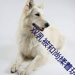 九游会登录j9入口 - 中国官方网站 | 真人游戏第一品牌