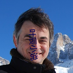 葉辰小說