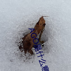 AGO是什麽意思